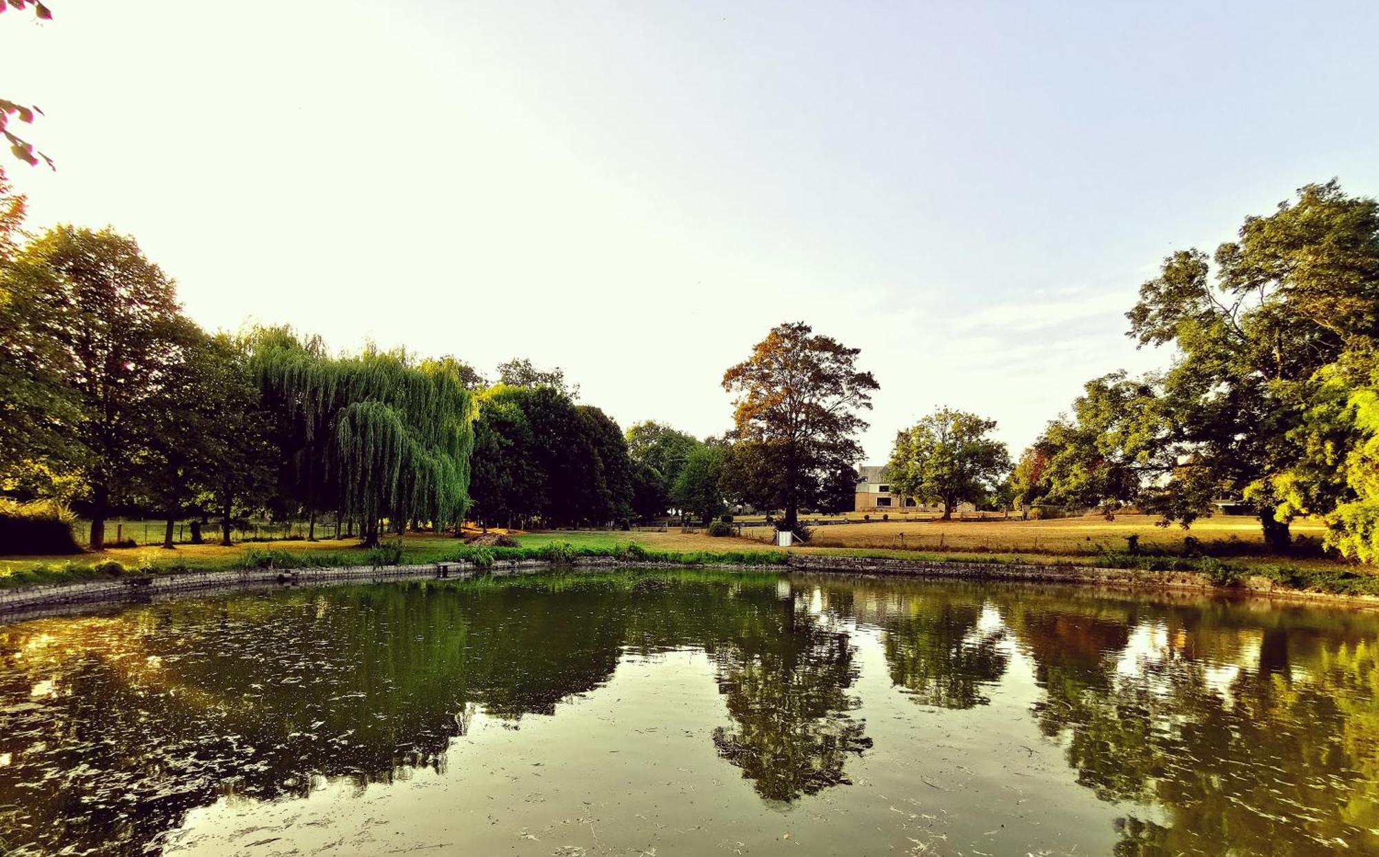 Appartamento Domaine De L'Isle Maniere Saint-Quentin-sur-le-Homme Esterno foto