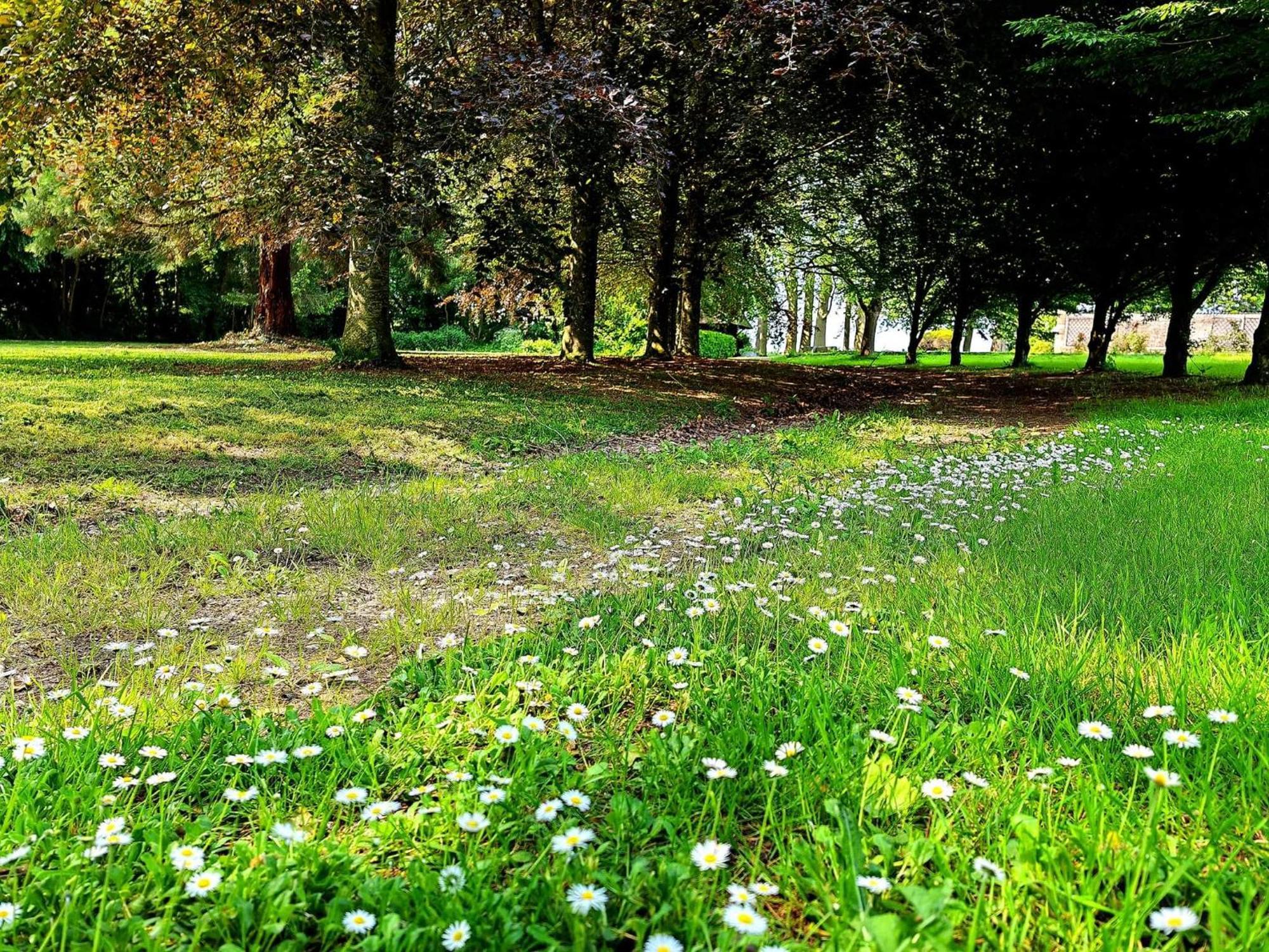 Appartamento Domaine De L'Isle Maniere Saint-Quentin-sur-le-Homme Esterno foto
